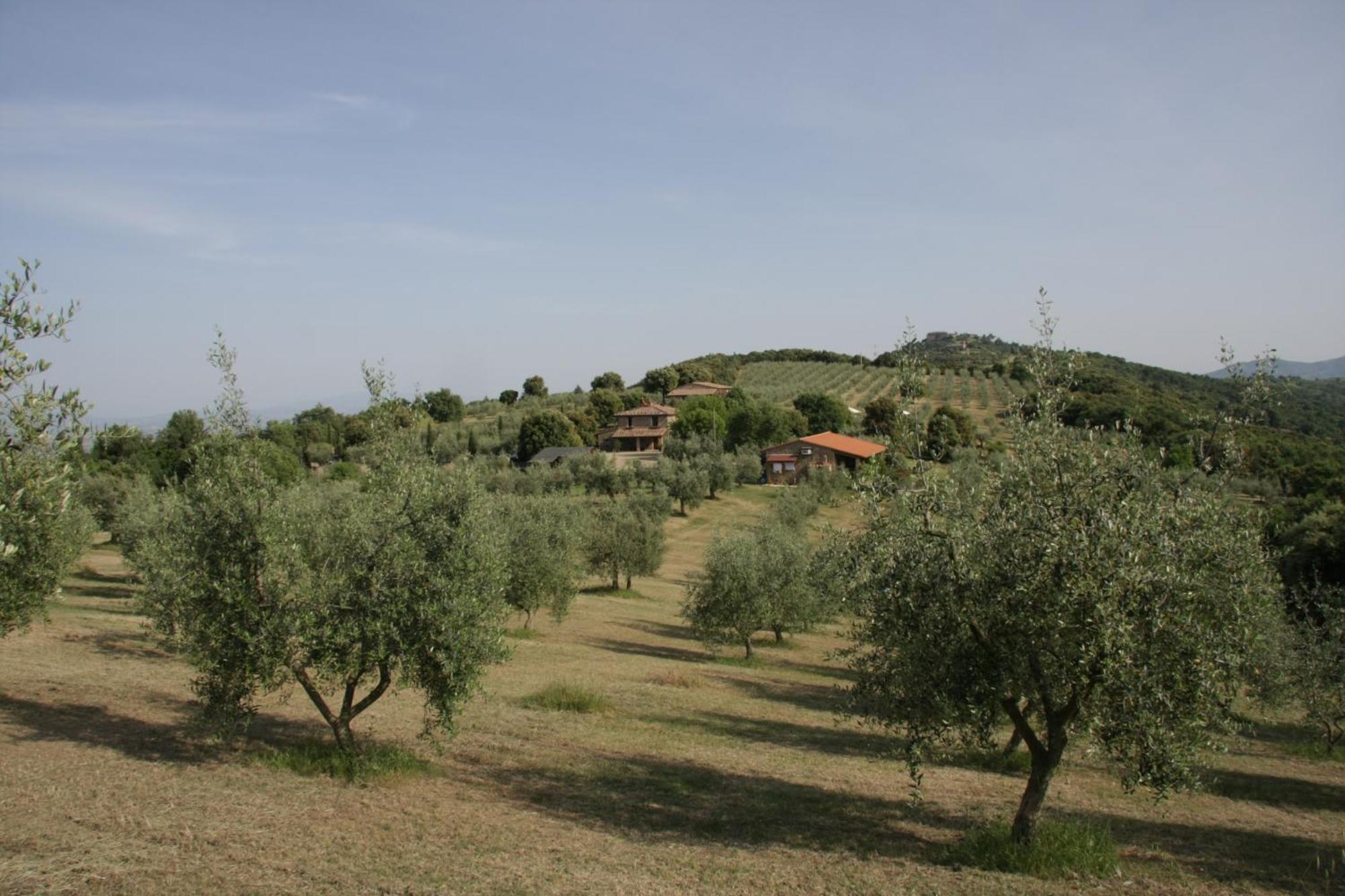 The Country House Montali Tavernelle (Panicale) Exterior foto
