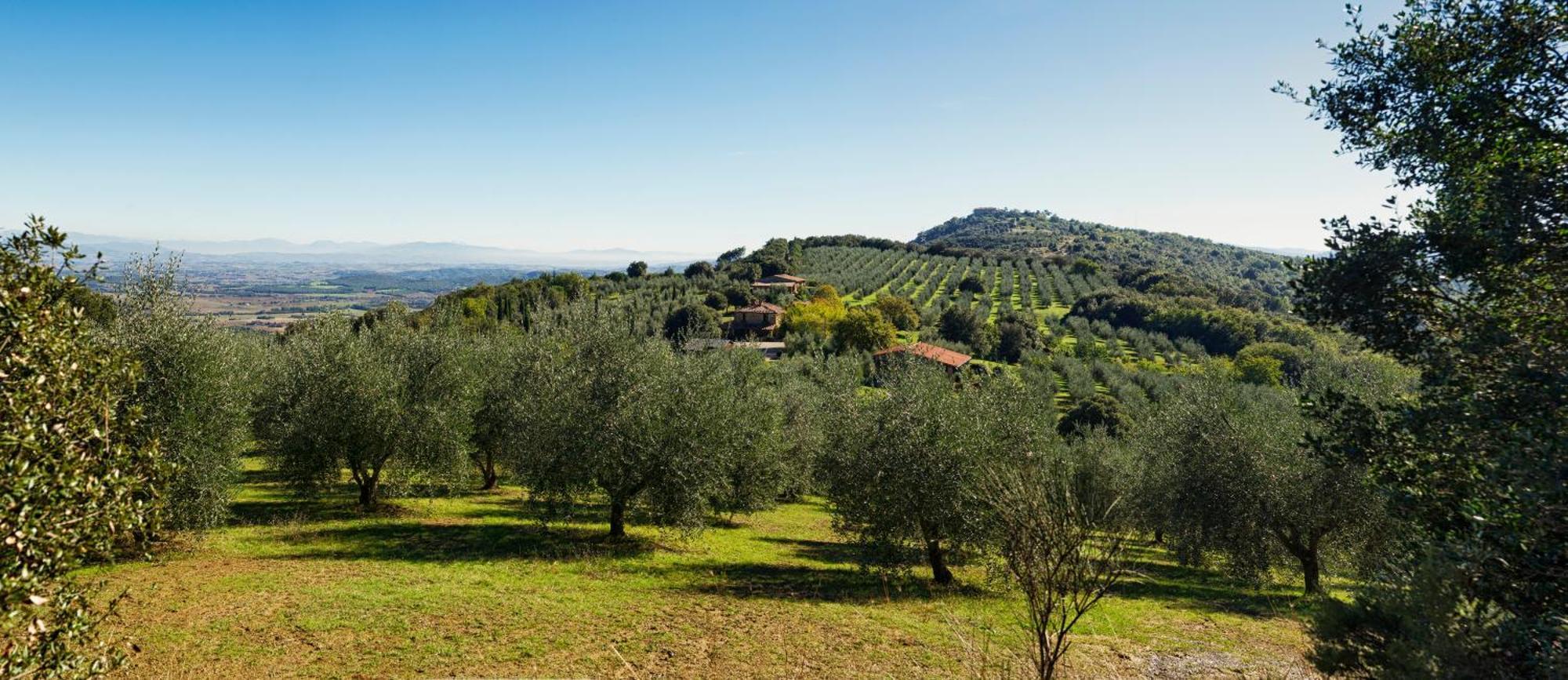 The Country House Montali Tavernelle (Panicale) Exterior foto