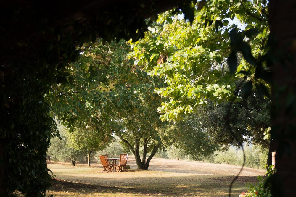 The Country House Montali Tavernelle (Panicale) Exterior foto